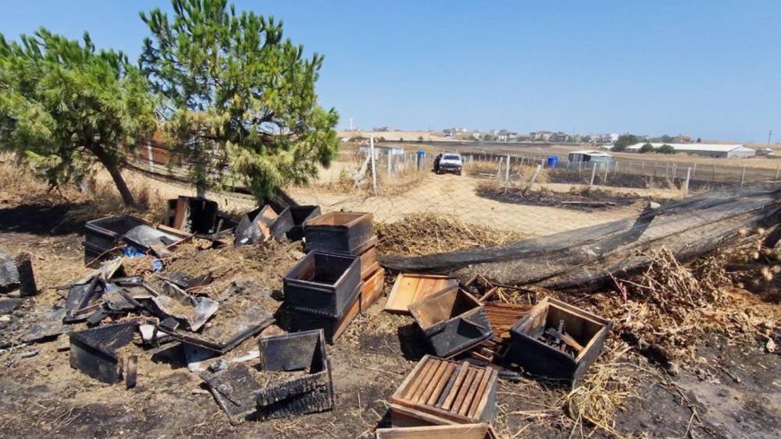 Anız yangınında 150 arı kovanı zarar gördü
