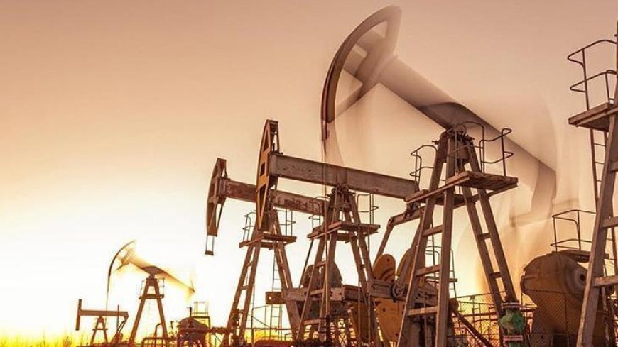 Petrolde yılın ikinci çeyreğinde dikkat çeken düşüş