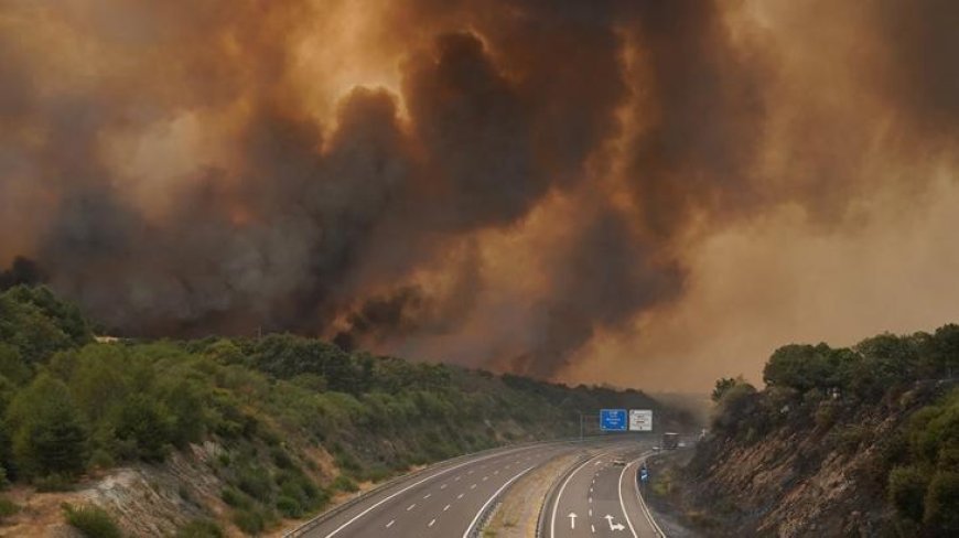 Son Dakika! İspanya'da yangınlar hala sürüyor: En az 407 bin hektar kül oldu