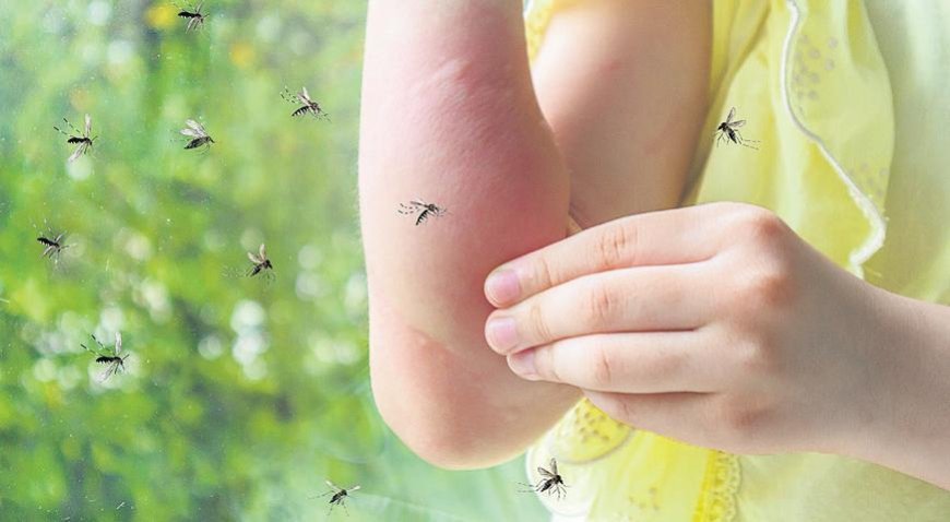 Sivrisinekler neden bazı insanlara daha çok musallat oluyor? CO fazlaysa ısırıyorlar!