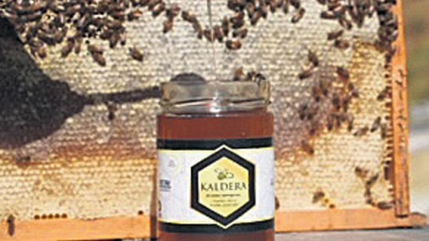 Bitlis’in balı öğrencilere burs oldu