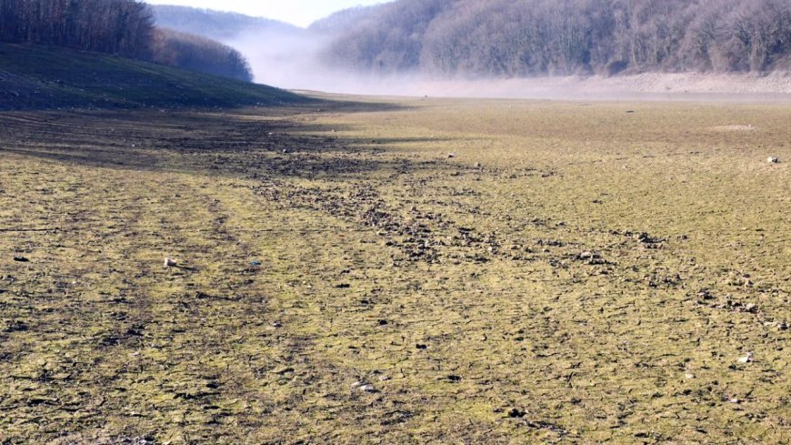 Prof. Dr. Konukcu: 2040'larda beklenen kuraklığı, 2020'li yılların ortalarında yaşamaya başladık
