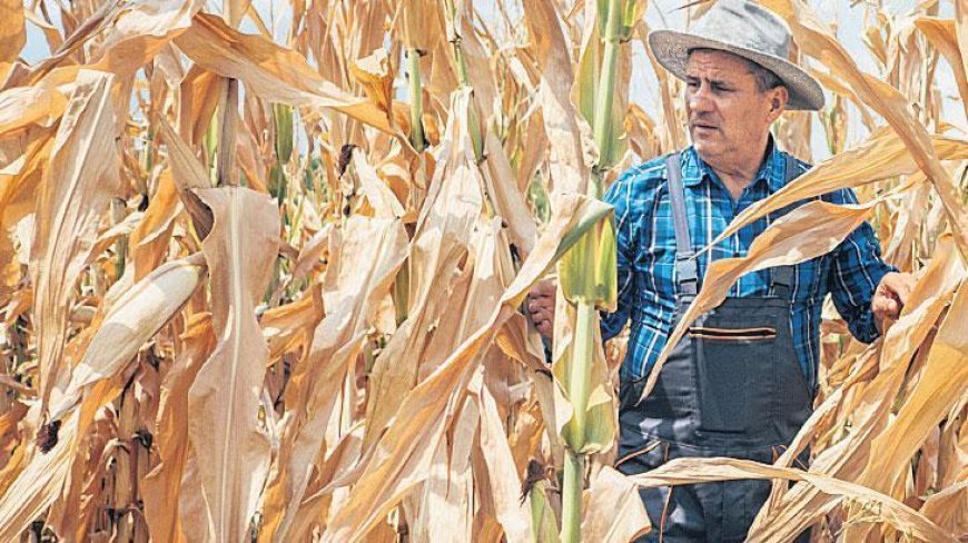 Avrupa ve Akdeniz’de rekor kuraklık