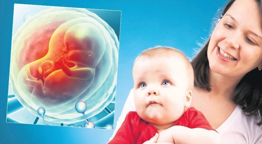 Obezite geni anneden