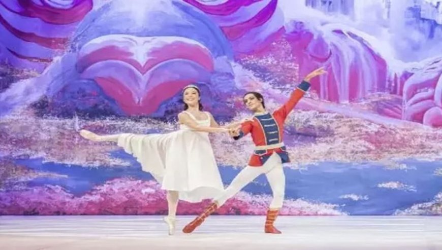 Bale Dünyasının Efsanesi Fındıkkıran'ın Türkiye'ye geliş tarihi belli oldu