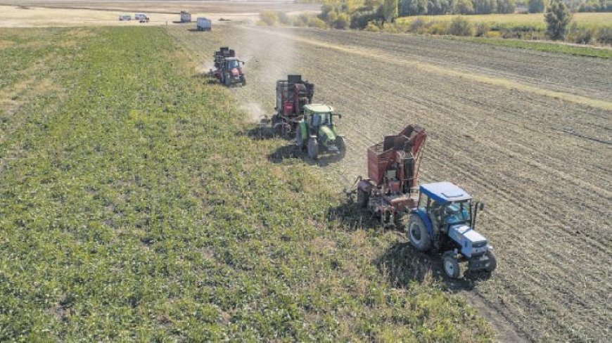Sayım seferberliği verileri oluşturacak