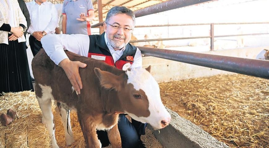 Yumaklı: Sütçü ırk sığırları etçi ırklarla melezleyeceğiz
