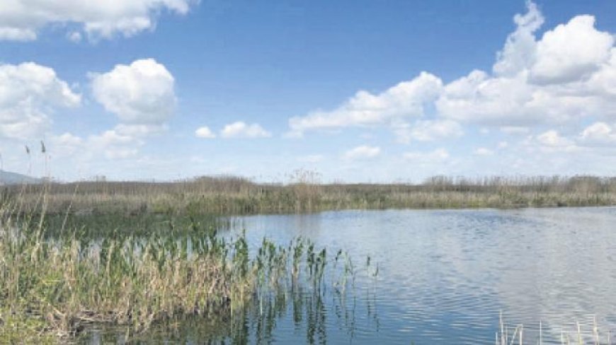 Ulusal Su Kurulu’nun gündemi kuraklık