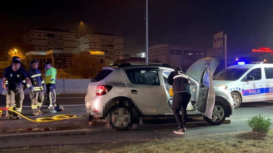Yol ortasına otururken otomobil çarptı; kurtarılamadı