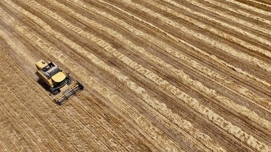 Çiftçi Kayıt Sistemi Yönetmeliği'nde değişikliğe gidildi