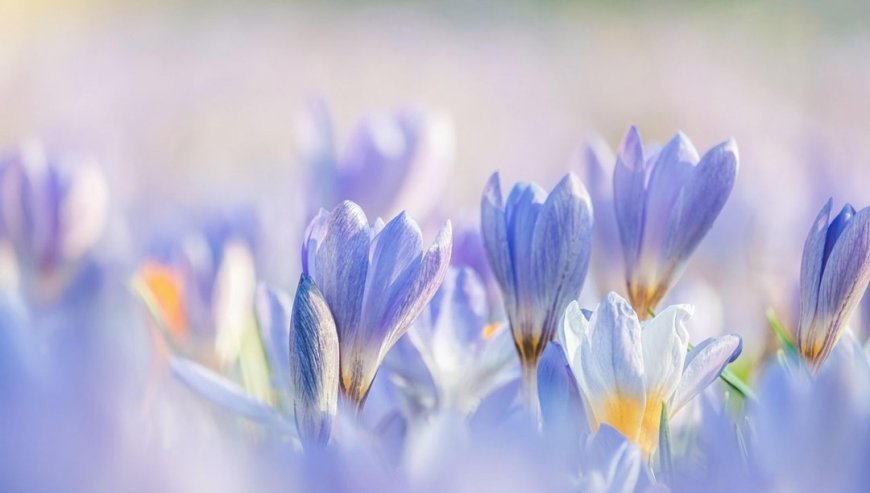 Eylül ayı (sonbahar) ile ilgili sözler: "Her Eylül, yeni bir başlangıcın habercisidir"