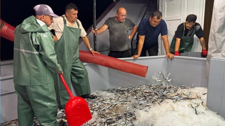 Ordu’da ‘vira bismillah’ diyen balıkçılar, sezonun ilk avını gerçekleştirdi