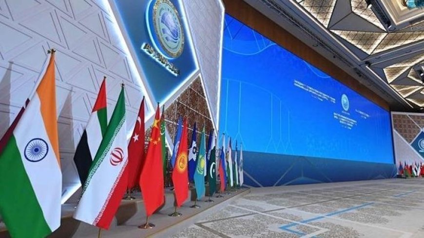 Şanghay İşbirliği Örgütü Zirvesi'nde 'Tiencin Deklarasyonu' kabul edildi