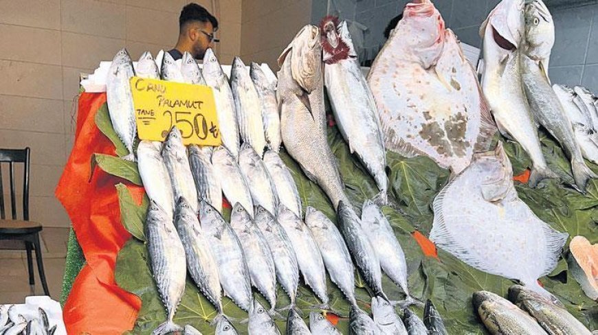 Balık sezonu sakin başladı