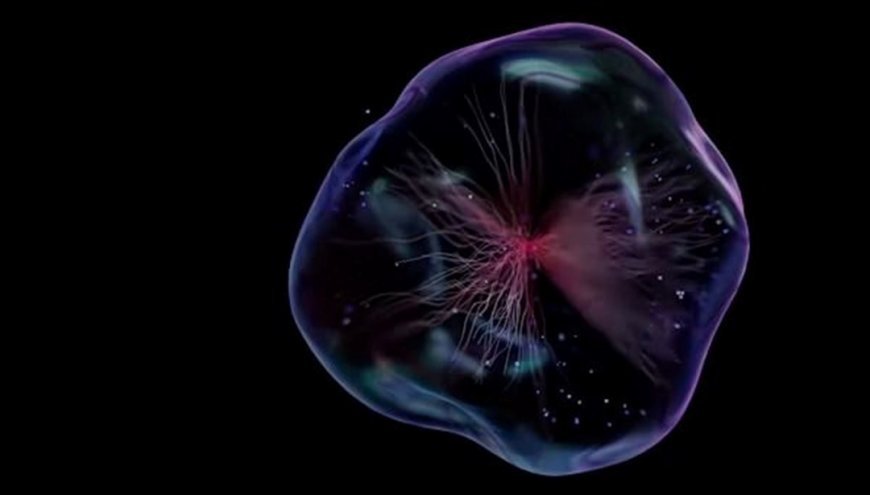 Bilim insanları yaşamın sırrını çözmeyi başardı