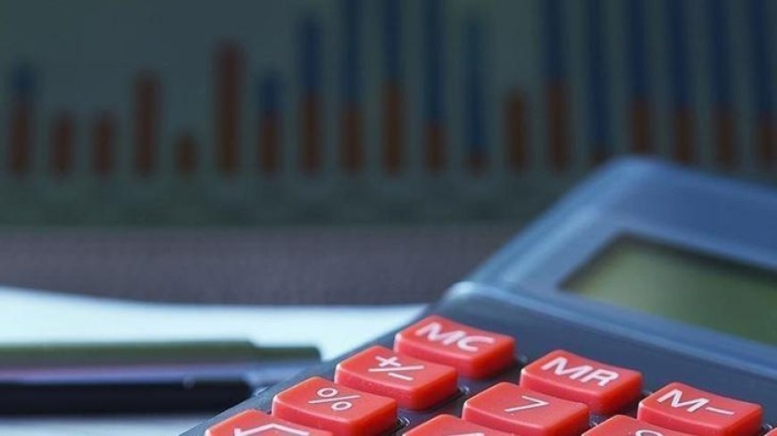 Yurt İçi Üretici Fiyat Endeksi belli oldu