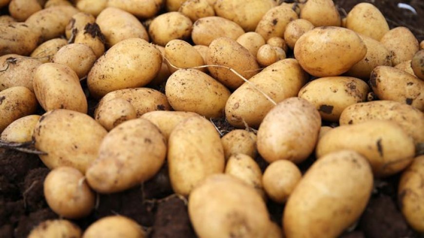 Ağustosta fiyatı en çok artan ve azalan ürünler belli oldu