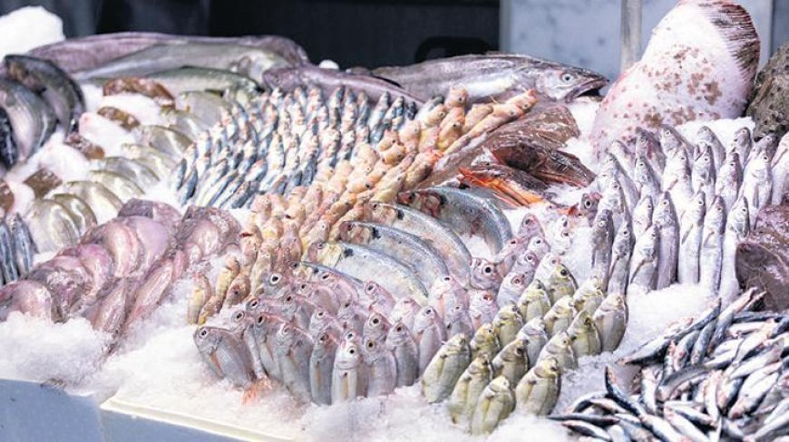 ‘Balık Takımı’ denetlemede