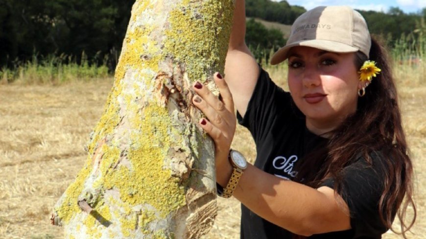 Kereste şirketi sahibi Yonca, testere ile ağaç kesiyor, nakliye yapıyor