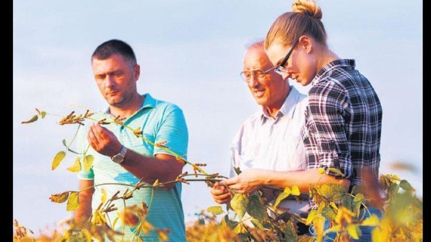 İklim değişikliğiyle mücadeleye genç katkı