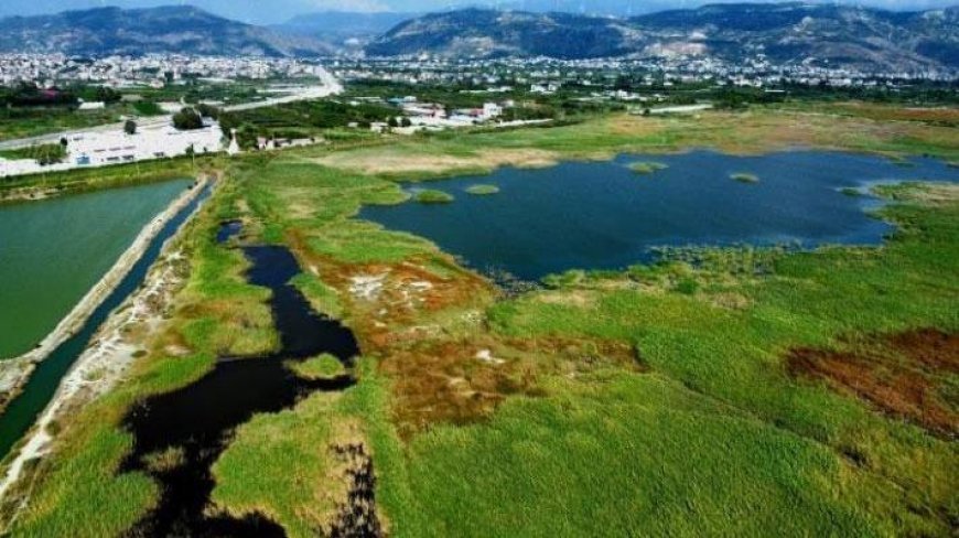 Bakan Kurum, ‘koruma’ talimatı vermişti! Milleyha ‘sit alanı’ ilan edildi