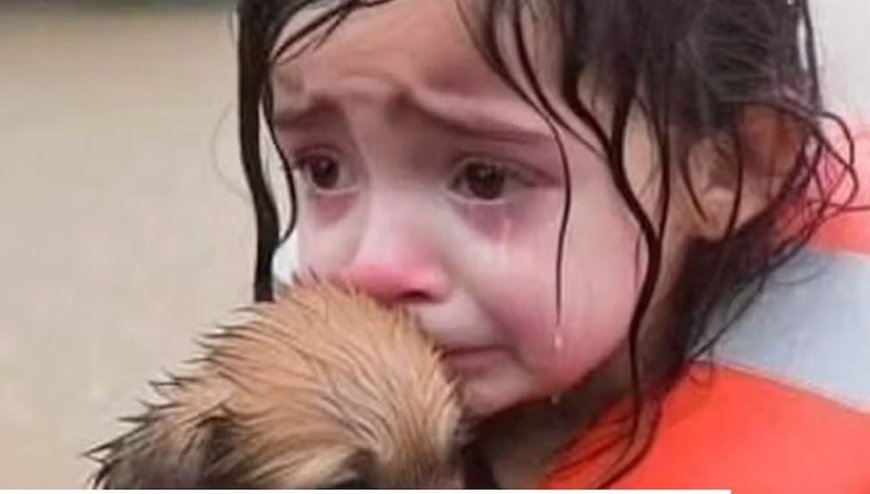 İnterneti dolduran yeni tehlike: "AI slop" nedir?