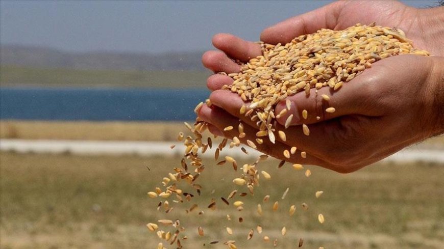 TMO'dan haciz iddialarına ilişkin açıklama