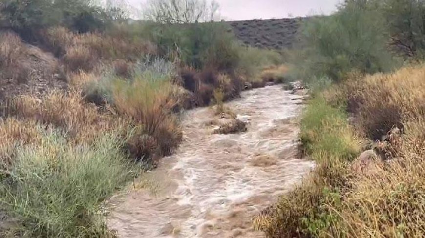 Arizona'da sel felaketinde 4 ölü