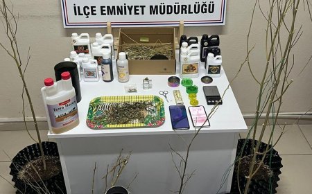 Evlerine kurdukları sistemle kenevir yetiştirip uyuşturucu üreten 5 şüpheli gözaltında