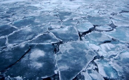 Arktik Bölgesi'nde “imkansız” sanılan bakteriler keşfedildi: Küresel ölçekte etkileri olabilir