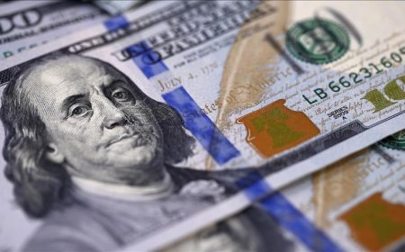 Ülkelerin iklim finansmanı ihtiyacı yılda 310 milyar doları aşıyor