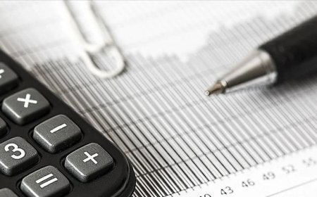 Tasarruf tedbirleri kapsamında 'Varlık Yönetim Sistemi' altyapısı kurulacak