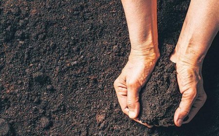 İşte Nadir Toprak Elementleri (NTE) hakkında her şey... Modern yaşamın ‘nadir’ altyapısı