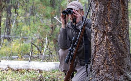 Japonya'da ayı saldırılarıyla mücadele etmek için lisanslı avcı aranıyor!