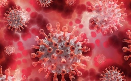 Kontrol edilmezse salgın kapıda! DSÖ'den ürküten açıklama: M çiçeği virüsü artık dünyanın birçok ülkesinde