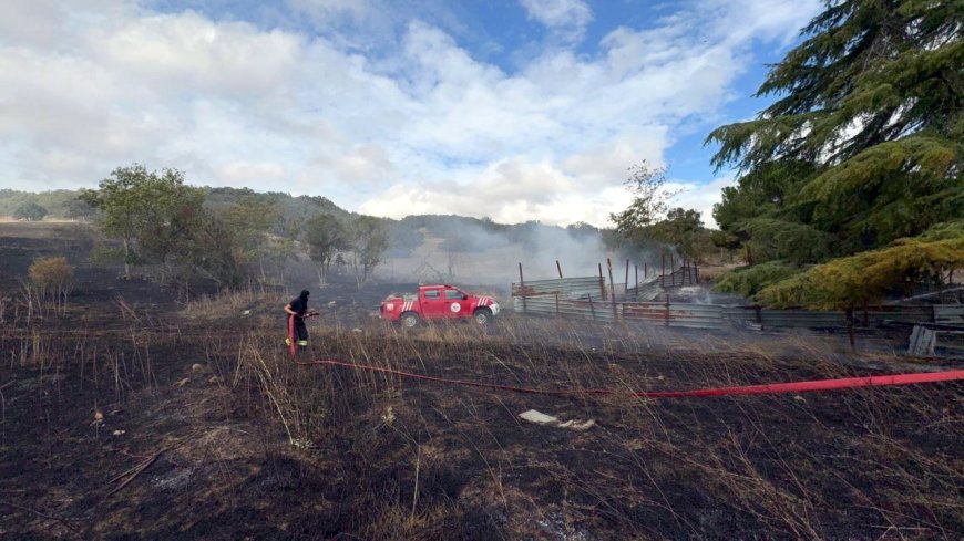 Çorlu’da otluk alanda yangın