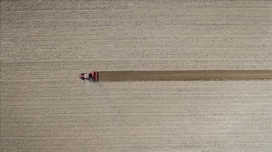 Tarım ÜFE eylülde arttı