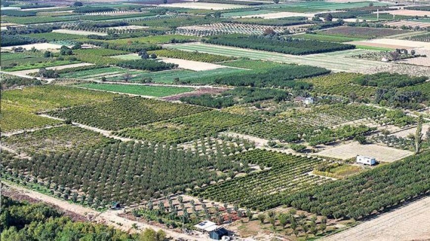 Ege'de çiftçiler ekim yağmurlarıyla nefes aldı