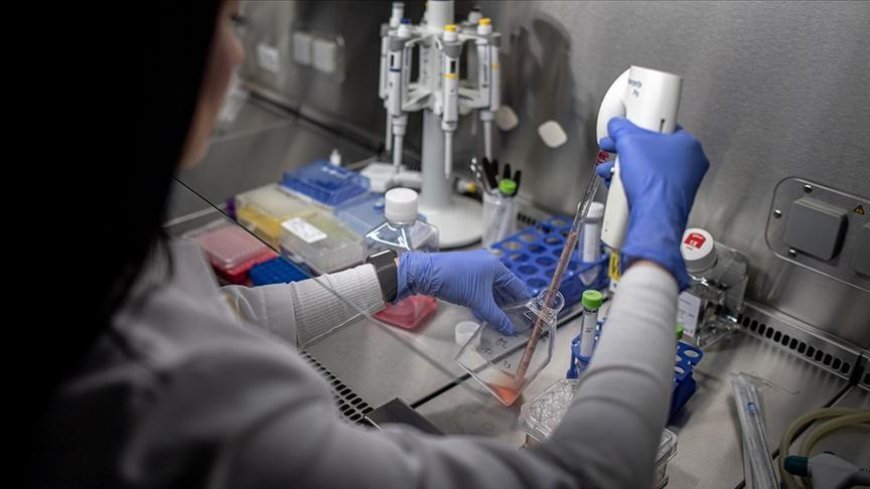 Türkiye'de 651,8 milyar liralık AR-GE harcaması yapıldı