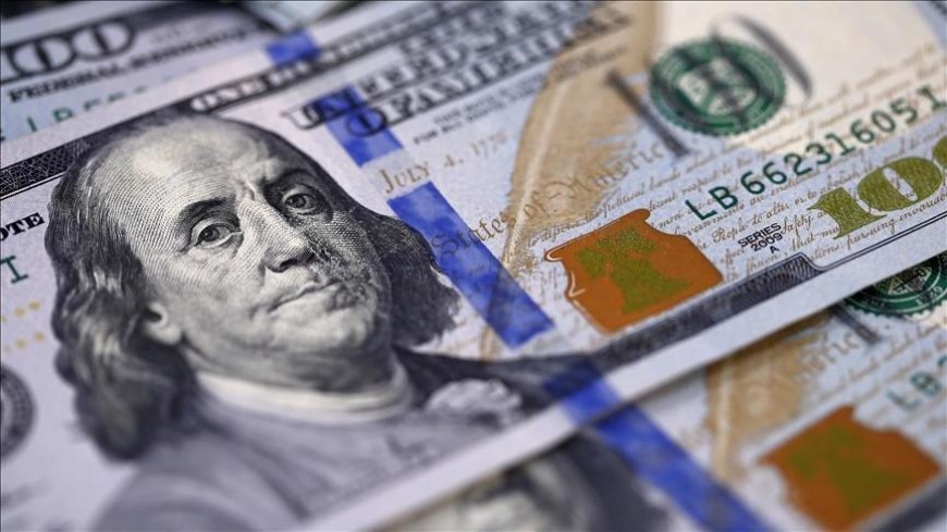 Ülkelerin iklim finansmanı ihtiyacı yılda 310 milyar doları aşıyor