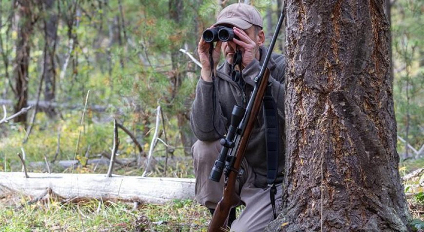 Japonya'da ayı saldırılarıyla mücadele etmek için lisanslı avcı aranıyor!