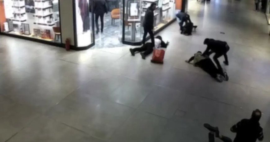 İstanbul'da AVM'lerin kabusu oldular: Kerpetenli hırsızlara suçüstü