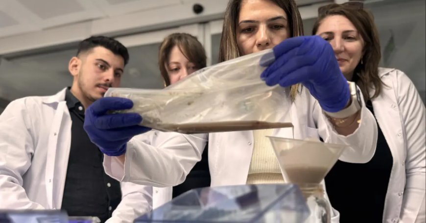 Balık bayat mı değil mi? Balığın tazeliğini artık elektronik burun bilecek