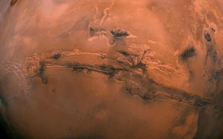 "Ölü taklidi yapan” mikroplar Mars'a gönderilmiş olabilir