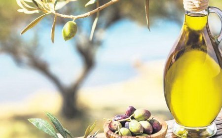Zeytinyağı litresi 300 TL altında olmaz