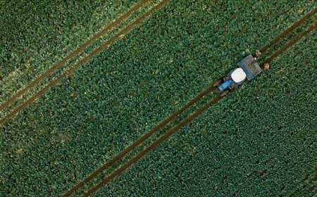 1,1 milyar liralık tarımsal destekleme ödemesi bugün yapılacak