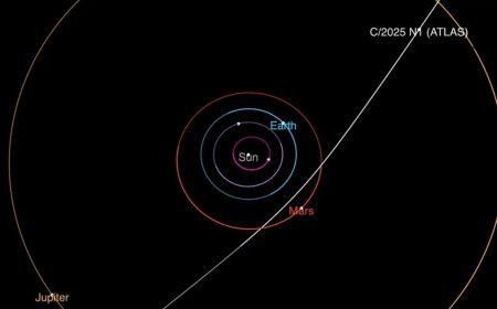 Avrupa Uzay Ajansı gözünü gizemli ziyaretçiye  çevirdi