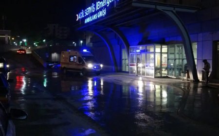 Silahla vurup aracına aldı, yol kenarına attı