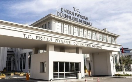 EPDK 21 şirkete lisans verdi