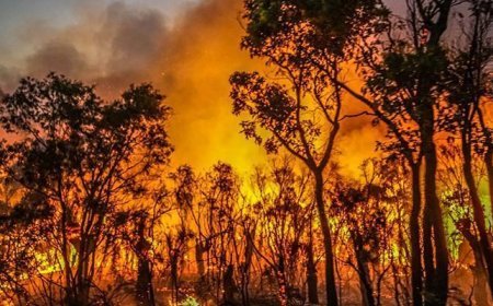 Avustralya kabusu yaşıyor! Hızla yayılan yangında 16 ev küle döndü